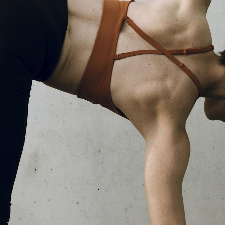 Professional gym interior with strength equipment